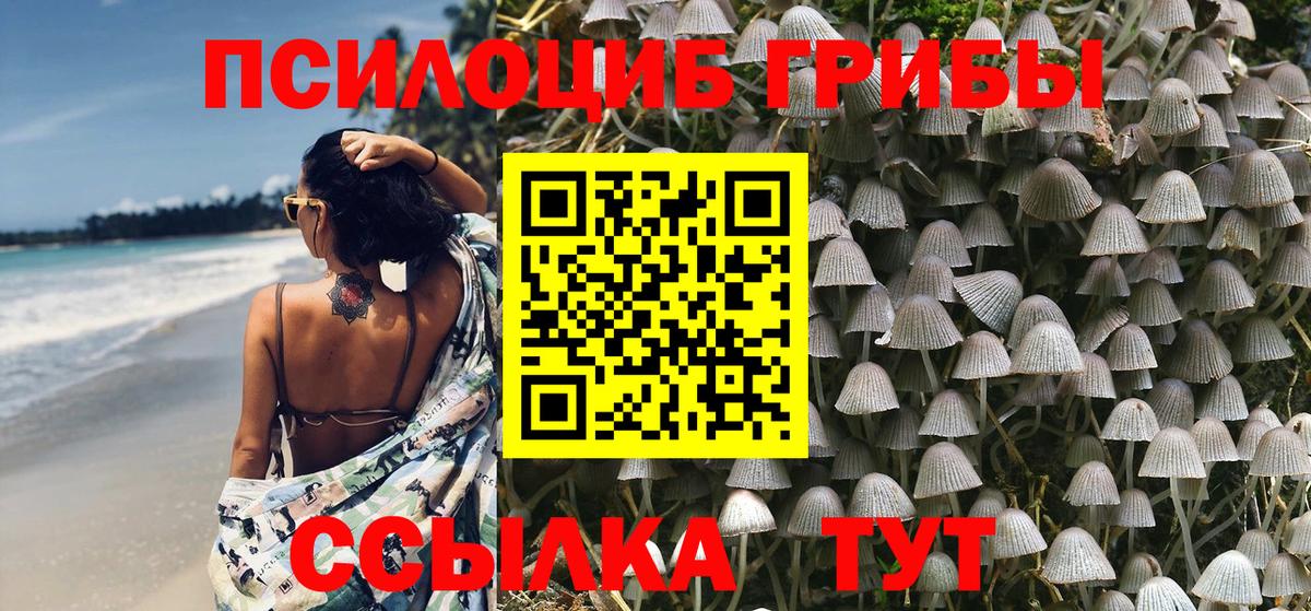 Галлюциногенные грибы прущие грибы  Галлюциногенные грибы Psilocybe  Красный Сулин  Вход с VPN 